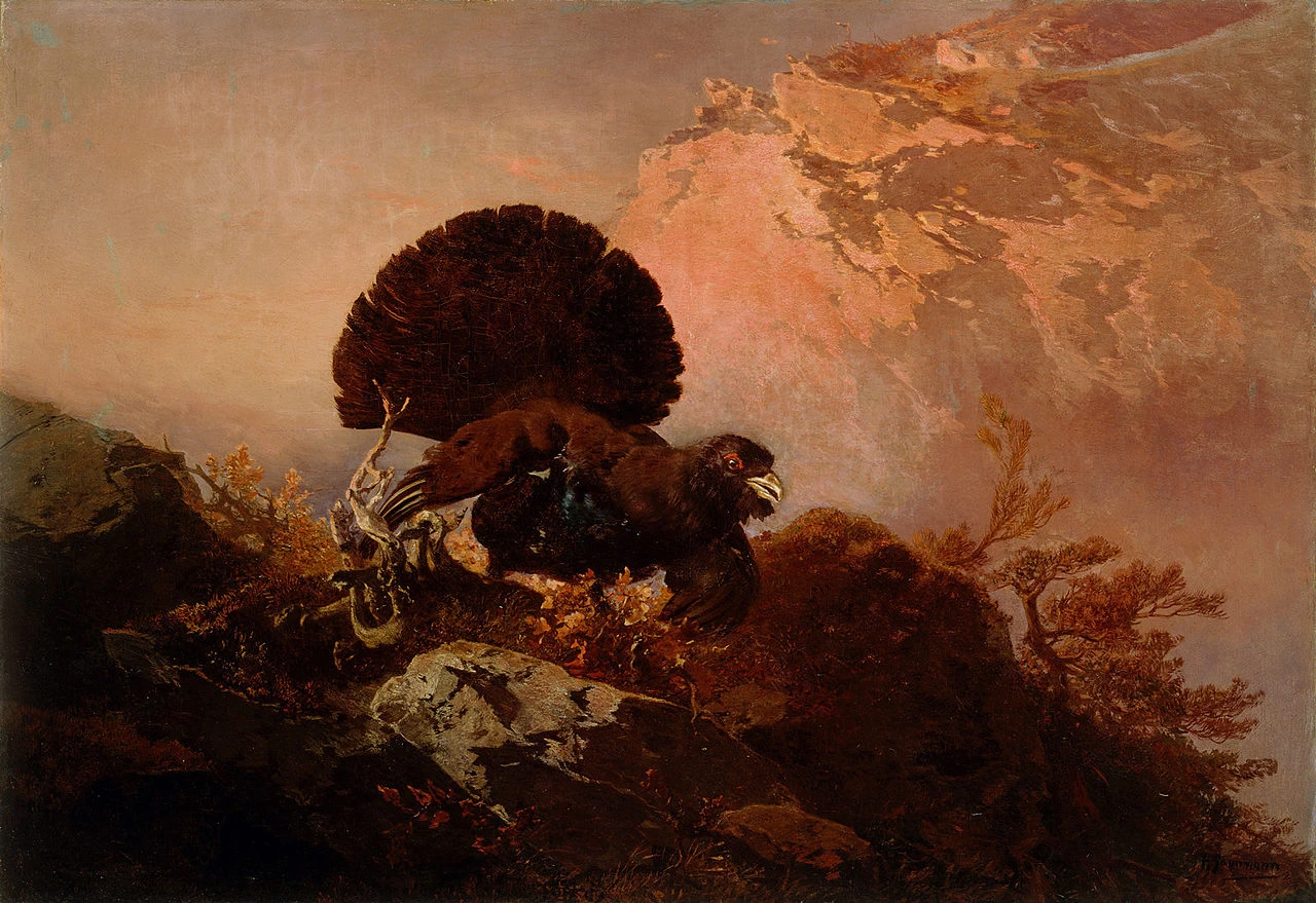 Gallo selvatico - Narodna galerija Slovenije, Lubiana